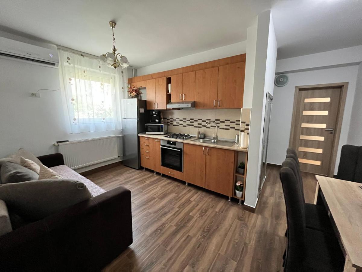 Apartament Andrei Băile Felix المظهر الخارجي الصورة